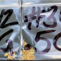 Labeled plastic sample bags with gold flakes