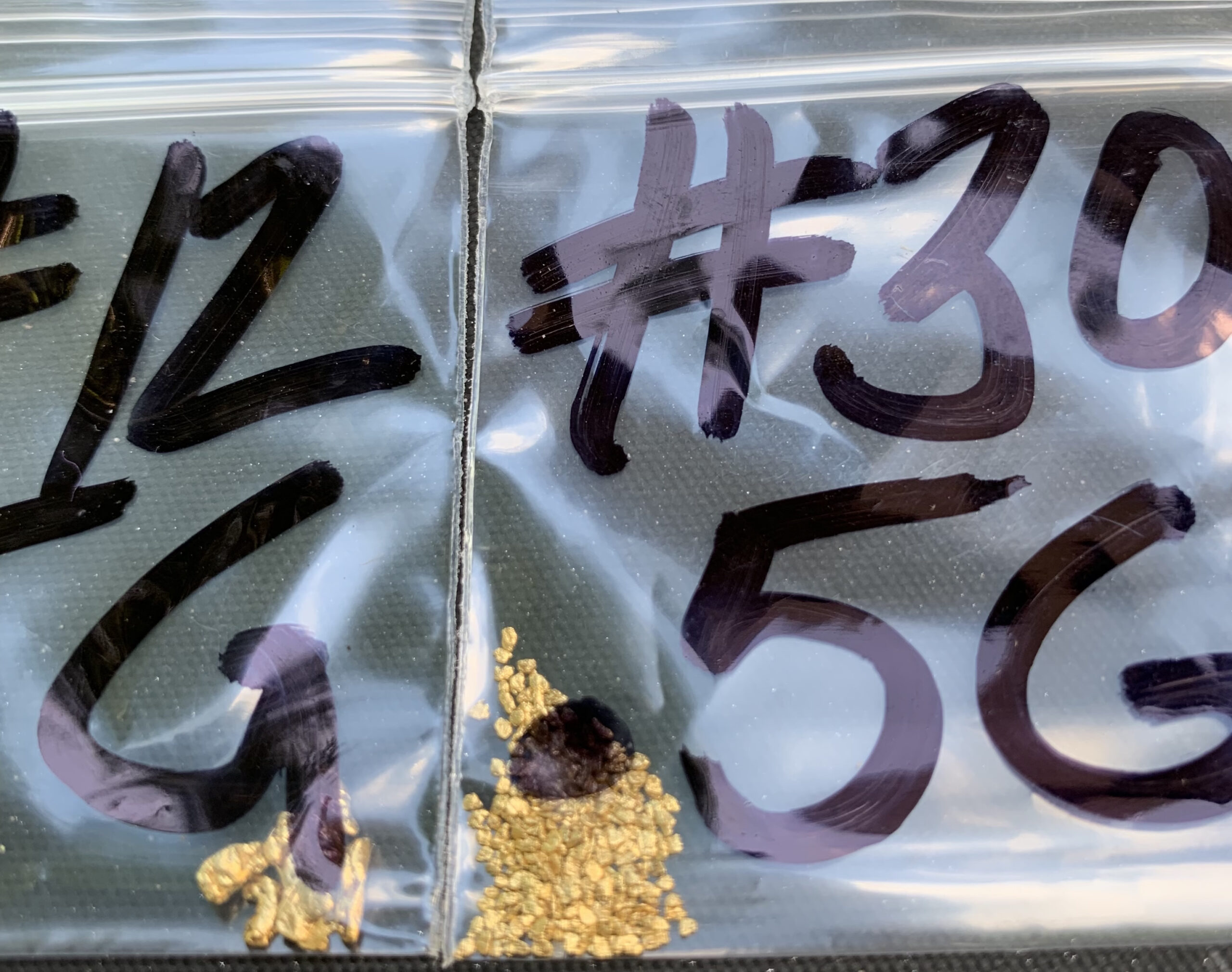 Labeled plastic sample bags with gold flakes